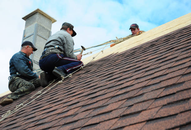 Best Metal Roofing Contractor  in Burton, OH
